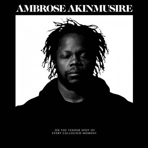 Ambrose Akinmusire – On the Tender Spot of Every Calloused Moment (2020) [FLAC]