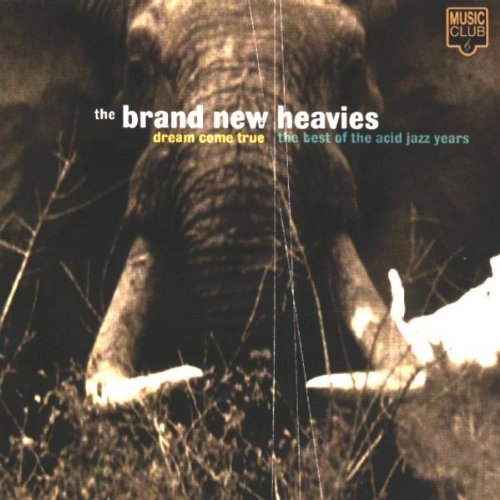 The Brand New Heavies – Dream Come True: The Best Of The Acid Jazz Years (1998) [FLAC]