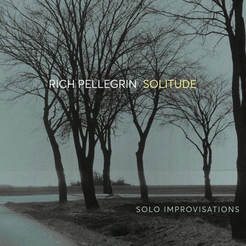 Rich Pellegrin – Solitude: Solo Improvisations (2021) [FLAC]