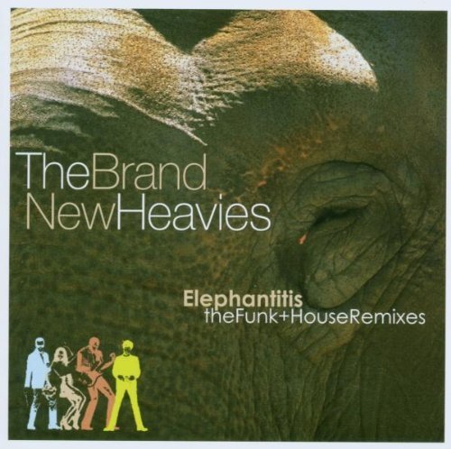 The Brand New Heavies – Elephantitis The Funk And House Remixes (2007) [FLAC]