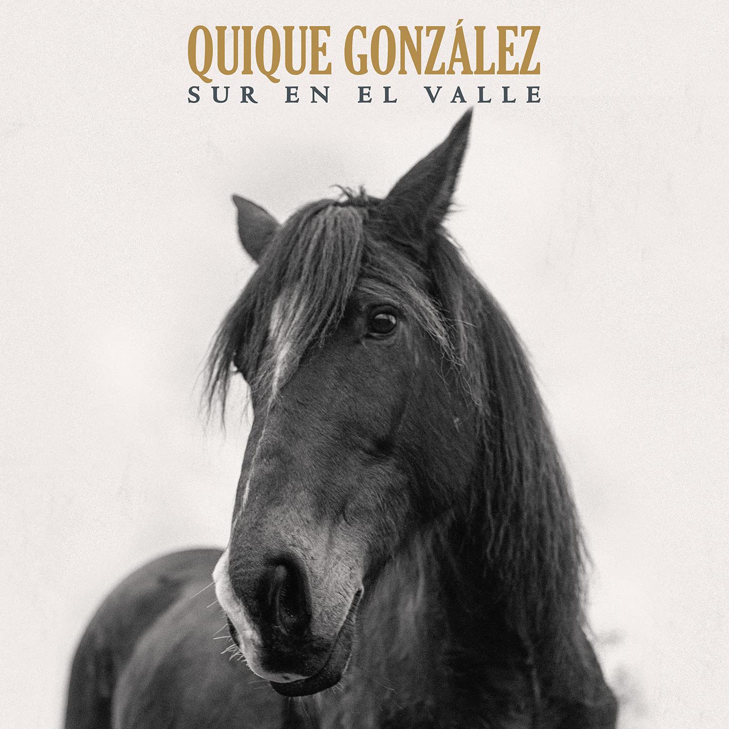 Quique González - Sur En El Valle (2021) [FLAC] Download