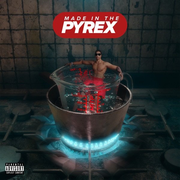 Digga D - Made In The Pyrex (2021) FLAC Download