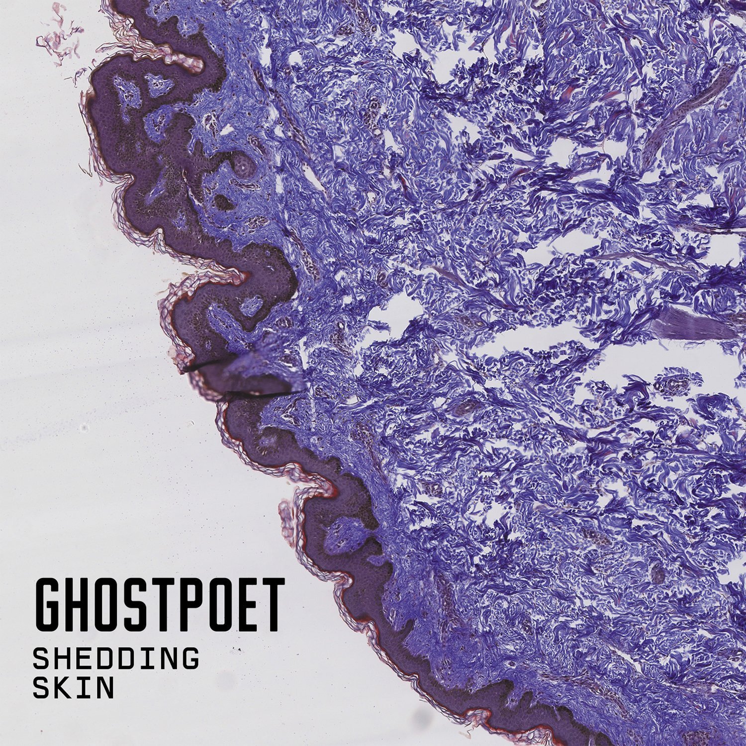 Ghostpoet - Shedding Skin (2015) FLAC Download