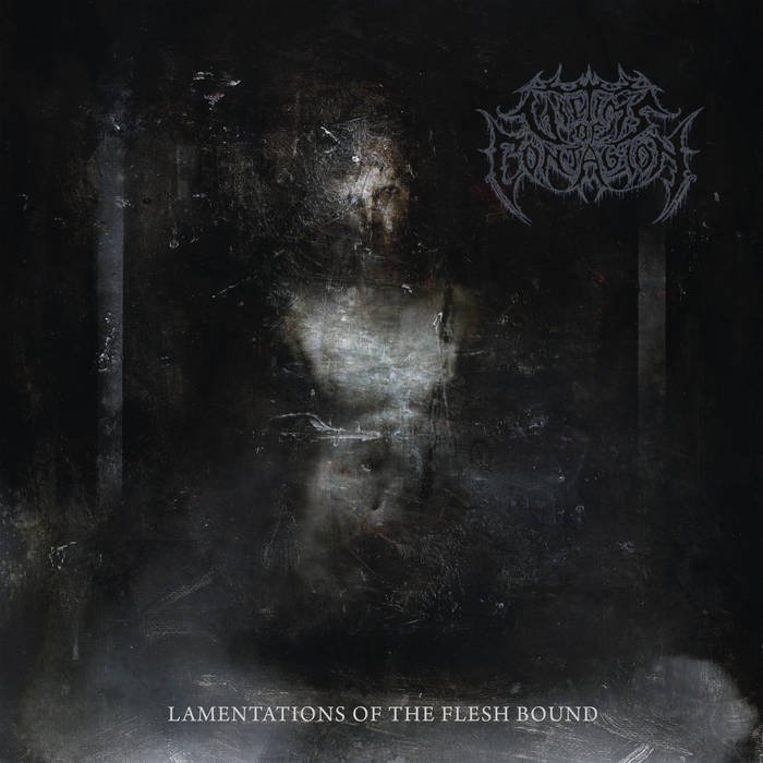 Victims of Contagion - Lamentations of the Flesh Bound (2019) FLAC Download