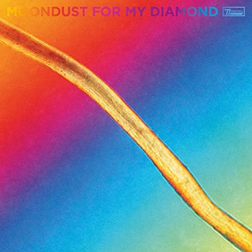 Hayden Thorpe - Moondust For My Diamond (2021) FLAC Download