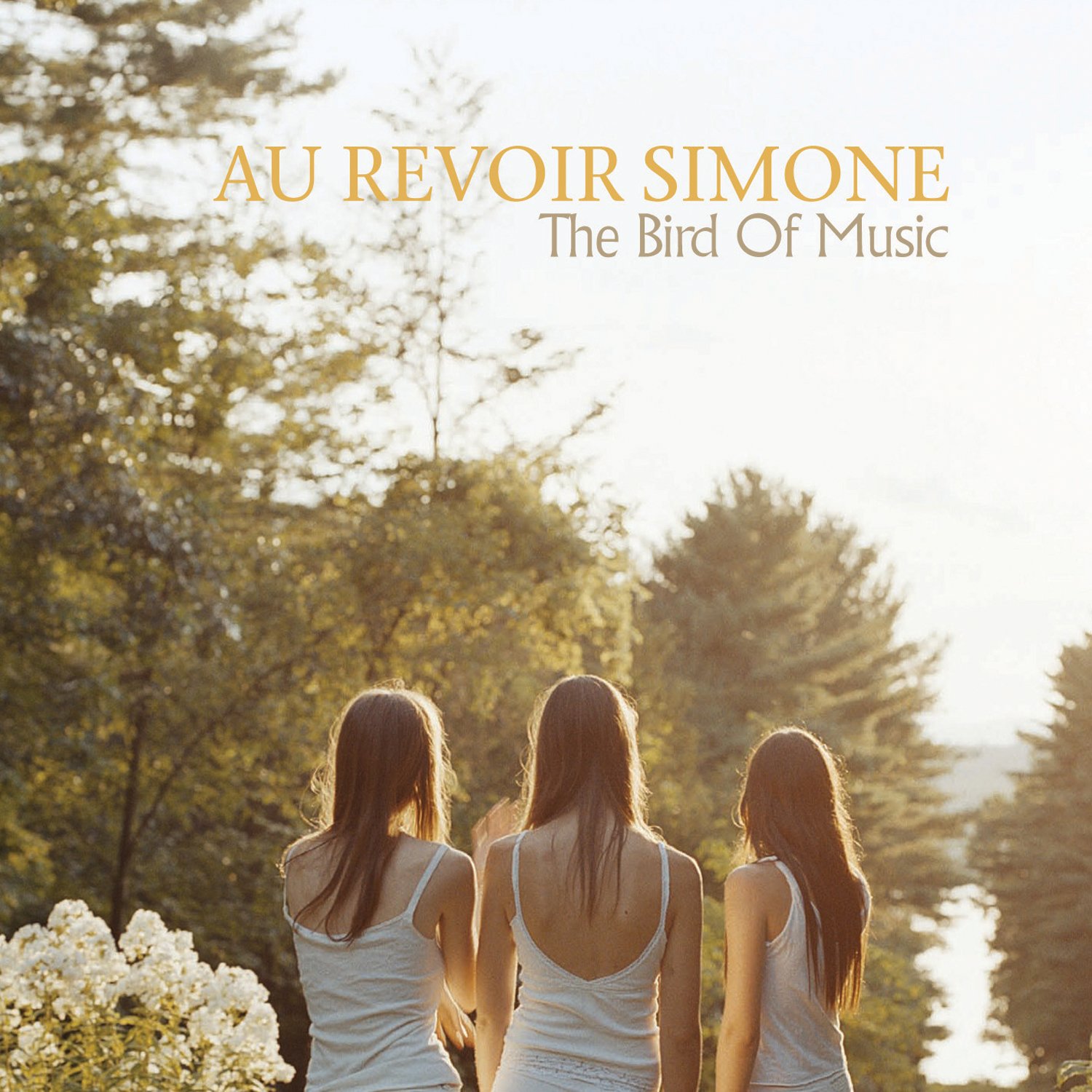 Au Revoir Simone - The Bird Of Music (2007) FLAC Download
