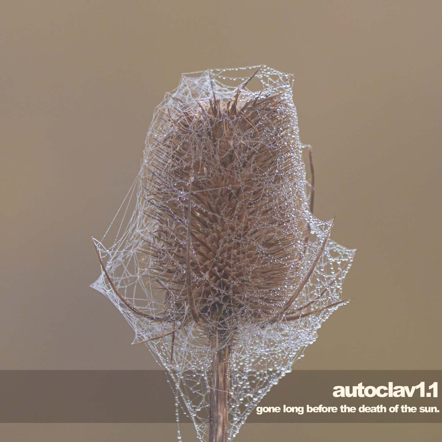 Autoclav1.1-Gone Long Before The Death Of The Sun-CD-FLAC-2022-FWYH Download