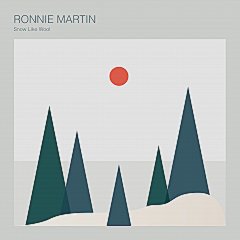 Ronnie Martin - Snow Like Wool (2021) FLAC Download
