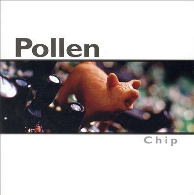 Pollen-Chip-CD-FLAC-1999-FAiNT