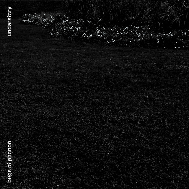 Bugs Of Phonon-Understory-CD-FLAC-2022-CHS Download