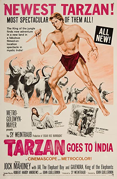 Tarzan Goes To India 1962 1080p BluRay x265-RARBG