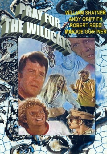 Pray for the Wildcats 1974 1080p BluRay x265-RARBG Download