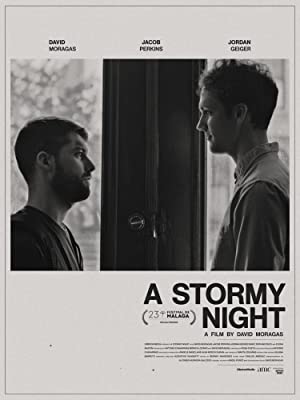A Stormy Night 2020 1080p WEBRip x265-RARBG