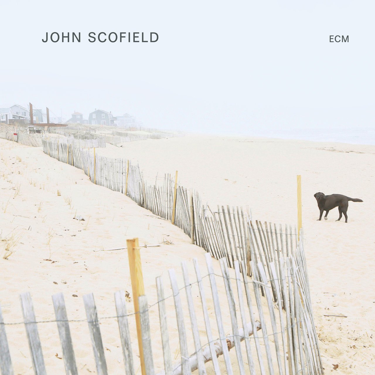 John Scofield-John Scofield-CD-FLAC-2022-FORSAKEN