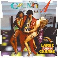 Chunky A-Large And In Charge-CD-FLAC-1989-RAGEFLAC