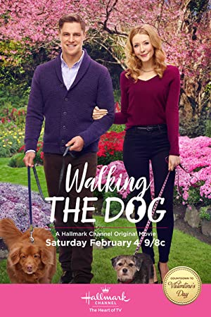 Walking The Dog 2017 1080p WEBRip x264-RARBG