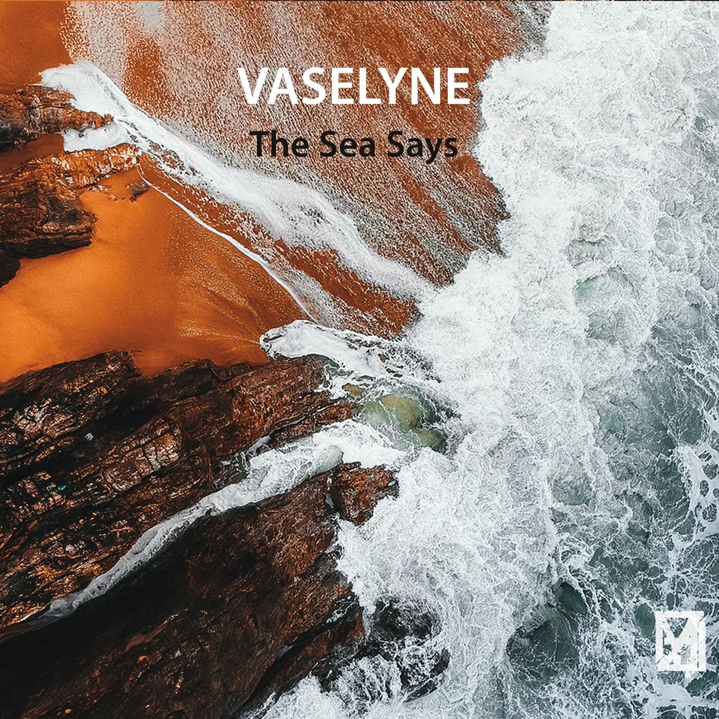 Vaselyne-The Sea Says-CD-FLAC-2022-FWYH