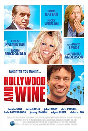 Hollywood And Wine 2010 1080p BluRay x265-RARBG