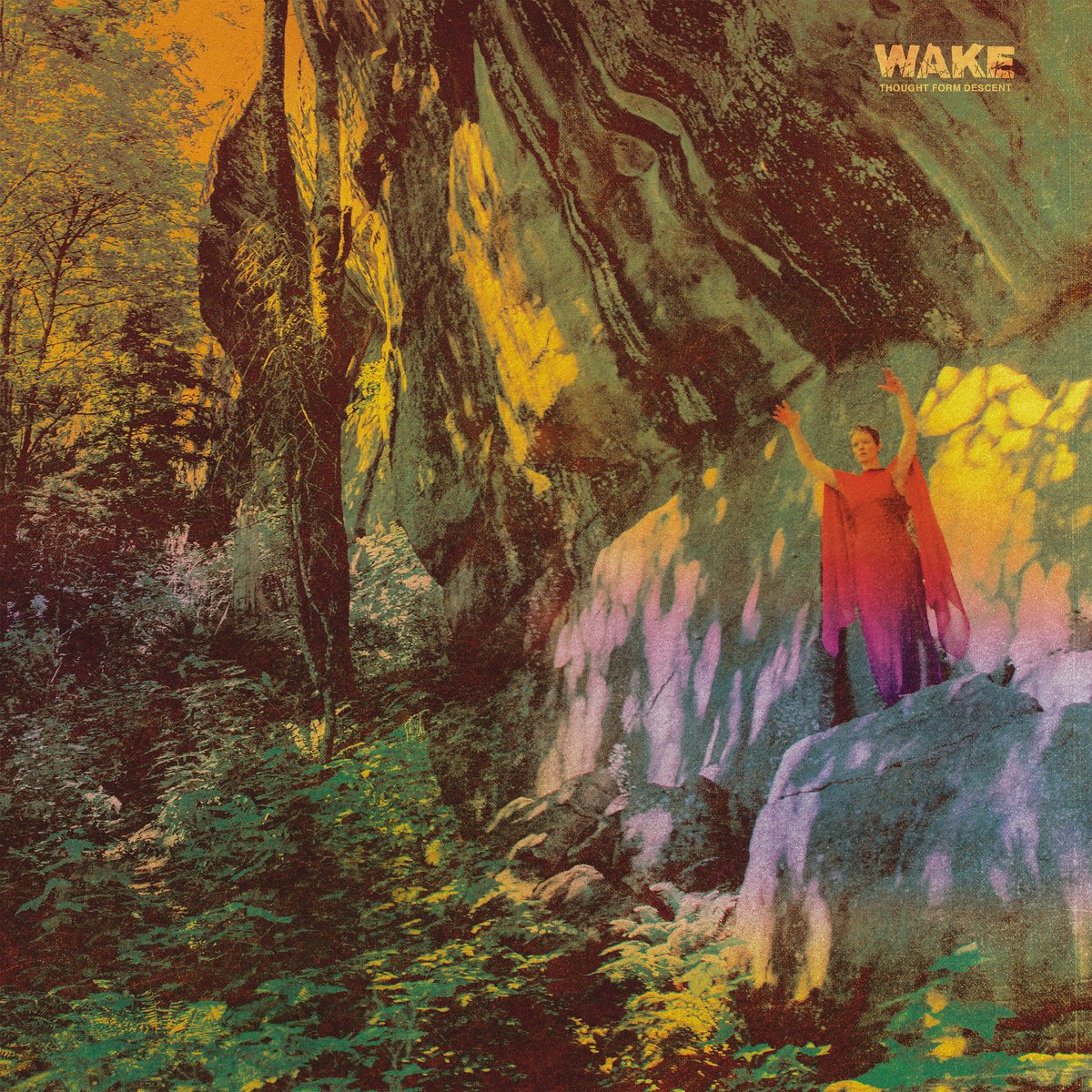 Wake - Thought Form Descent (2022) FLAC Download