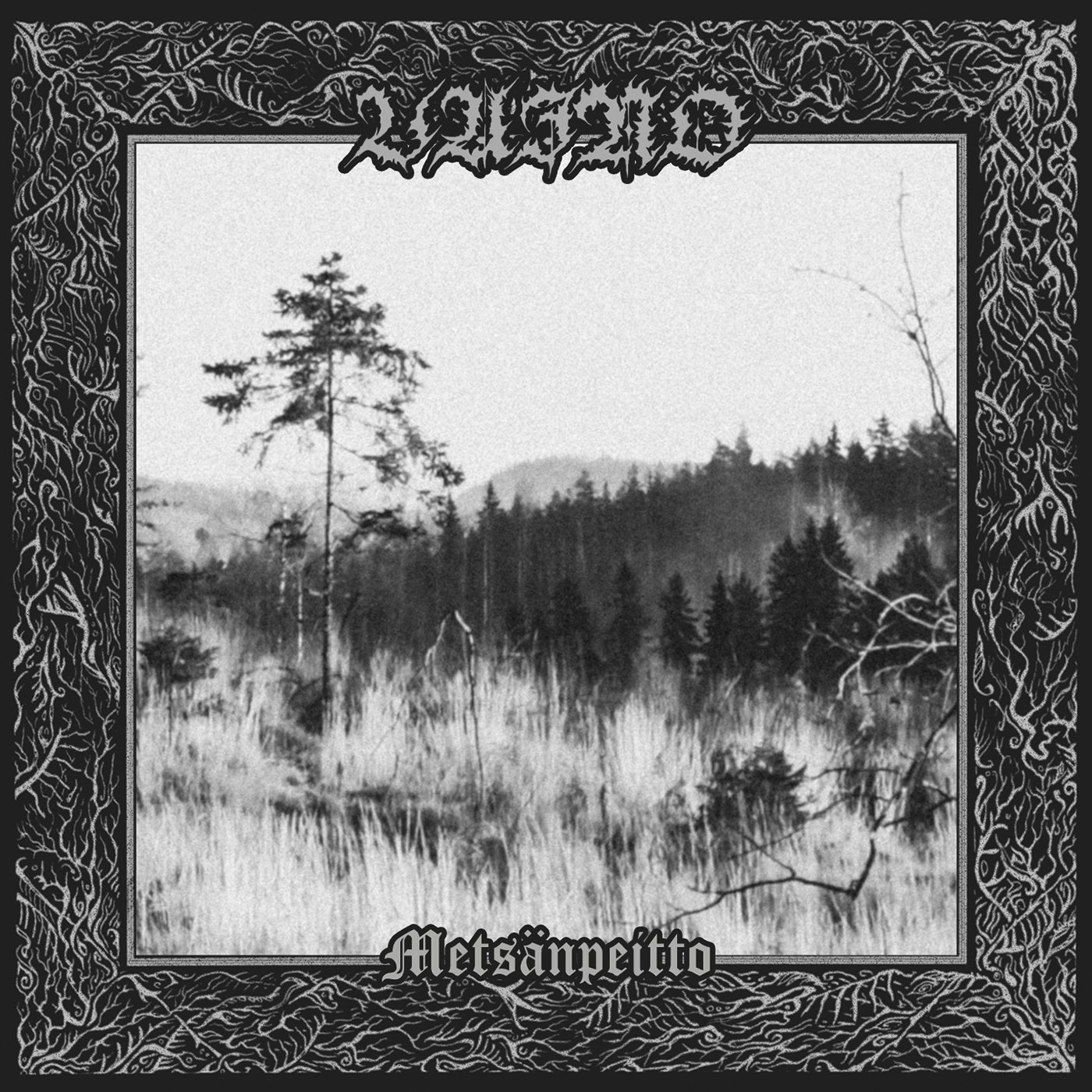 Vaino - Metsänpeitto (2022) 24bit FLAC Download