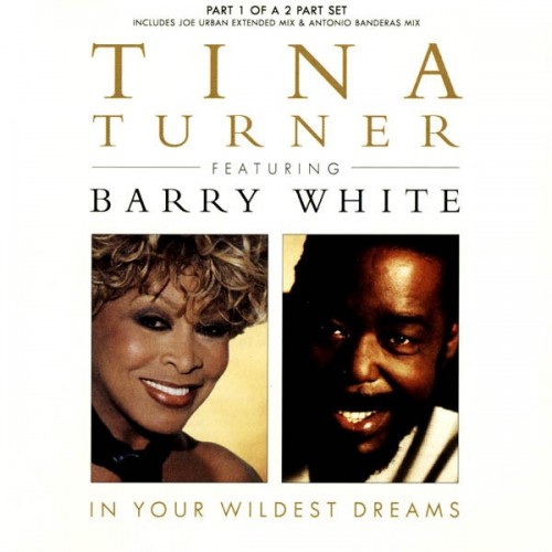 Tina Turner feat. Barry White-In Your Wildest Dreams-(D 1574)-CDS-FLAC-1997-WRE