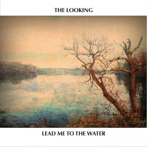 The Looking-Lead Me To The Water-CD-FLAC-2016-6DM