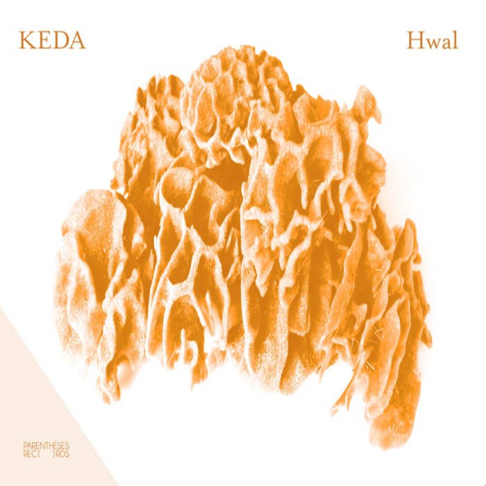 KEDA - Hwal (2015) FLAC Download