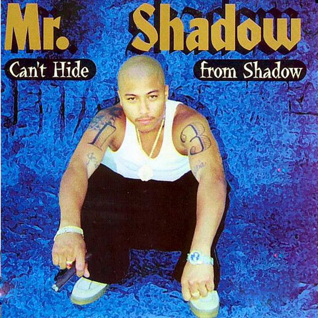 Mr. Shadow - Can't Hide From Shadow (2000) FLAC Download
