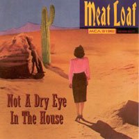 Meat Loaf - Not a Dry Eye in the House (1996) FLAC Download