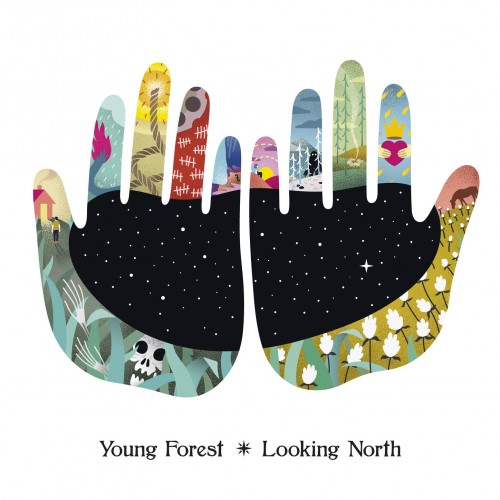 Young Forest-Looking North-CD-FLAC-2019-6DM