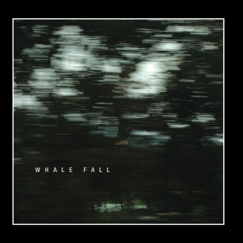 Whale Fall-Whale Fall-CD-FLAC-2011-CHS