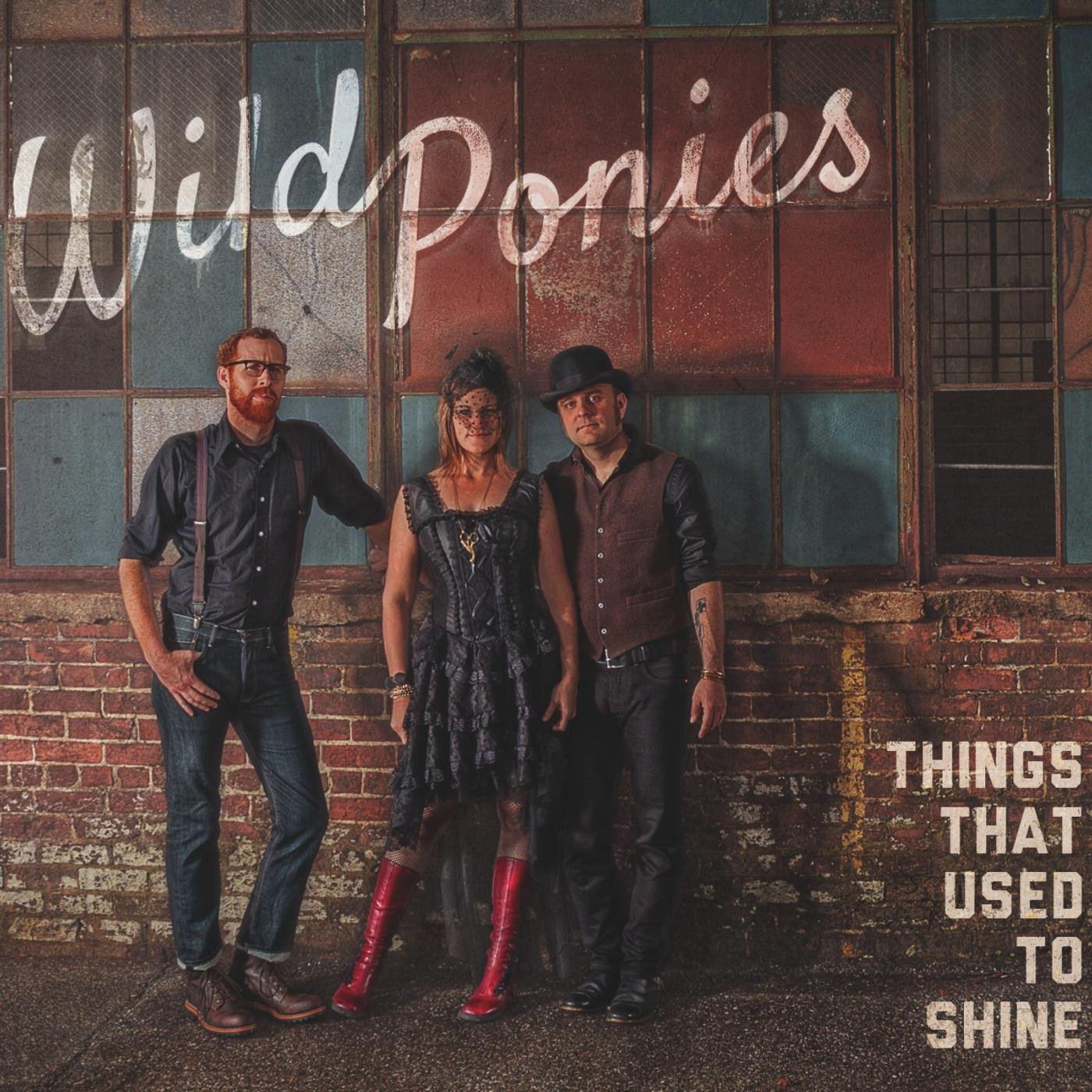 Wild Ponies-Things That Used To Shine-CD-FLAC-2013-6DM