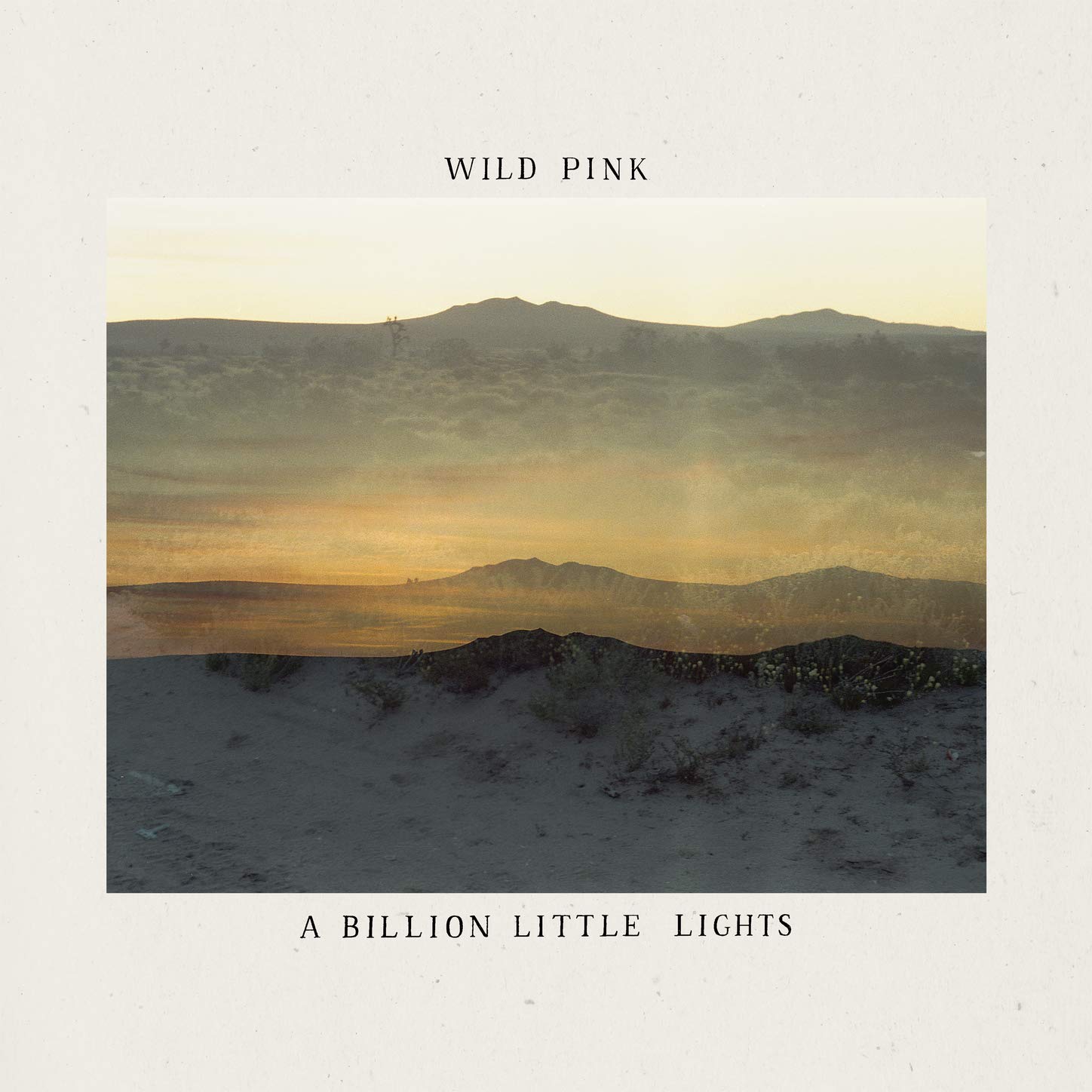 Wild Pink-A Billion Little Lights-(RMR-133-2)-CD-FLAC-2021-HOUND