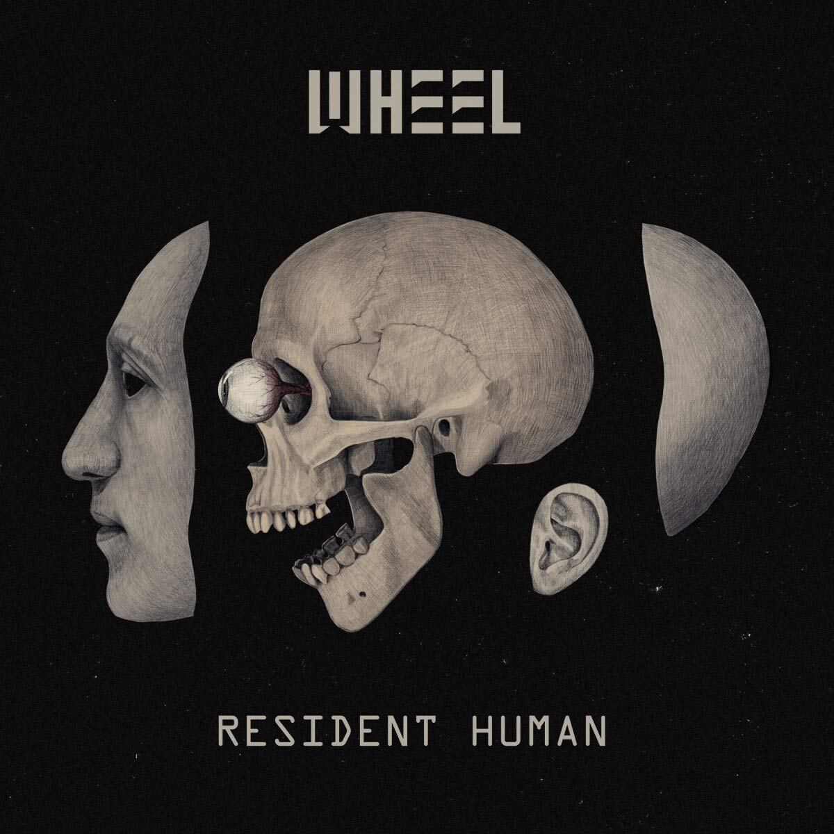 Wheel-Resident Human-CD-FLAC-2021-D2H