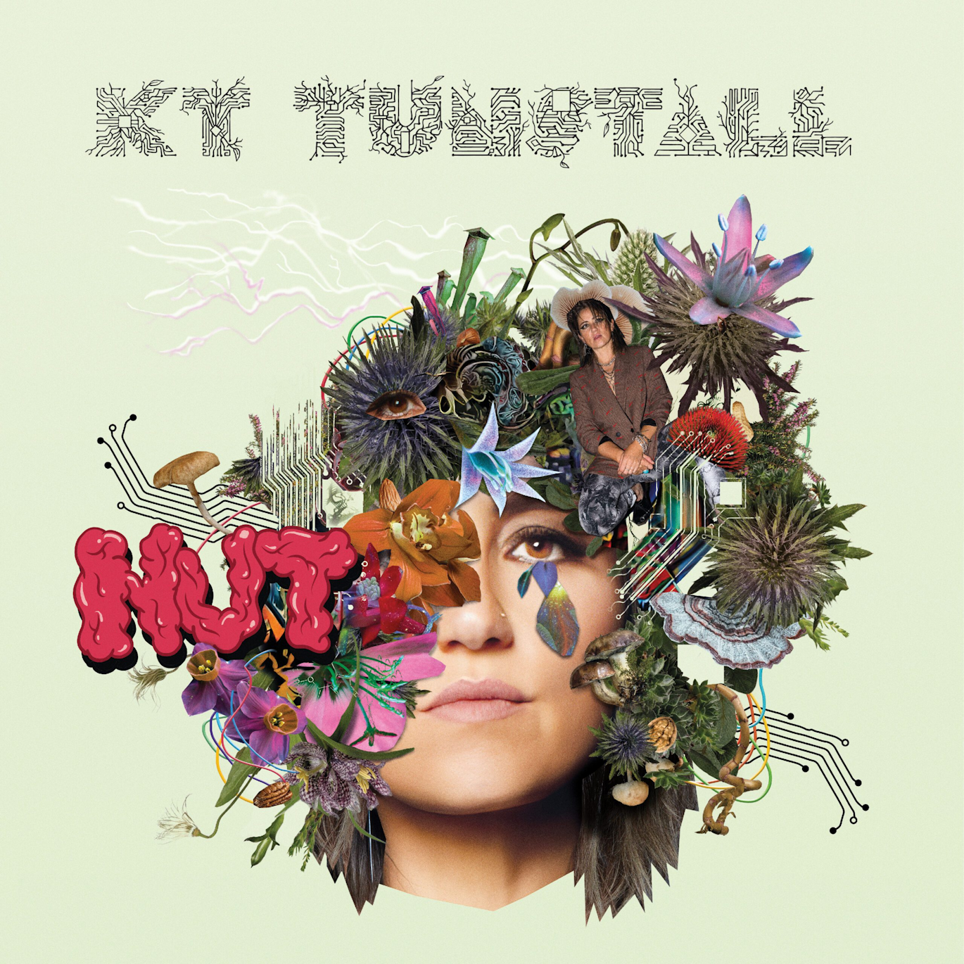 Kt Tunstall - NUT (2022) FLAC Download