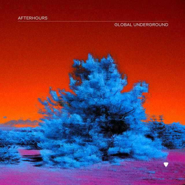 Various Artists - Global Underground Afterhours 9 (2022) FLAC Download