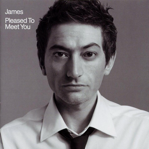 James-Pleased To Meet You-Special Edition-CD-FLAC-2001-ERP