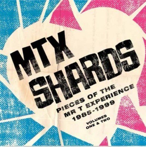 The Mr. T Experience-Shards-2CD-FLAC-2018-FAiNT