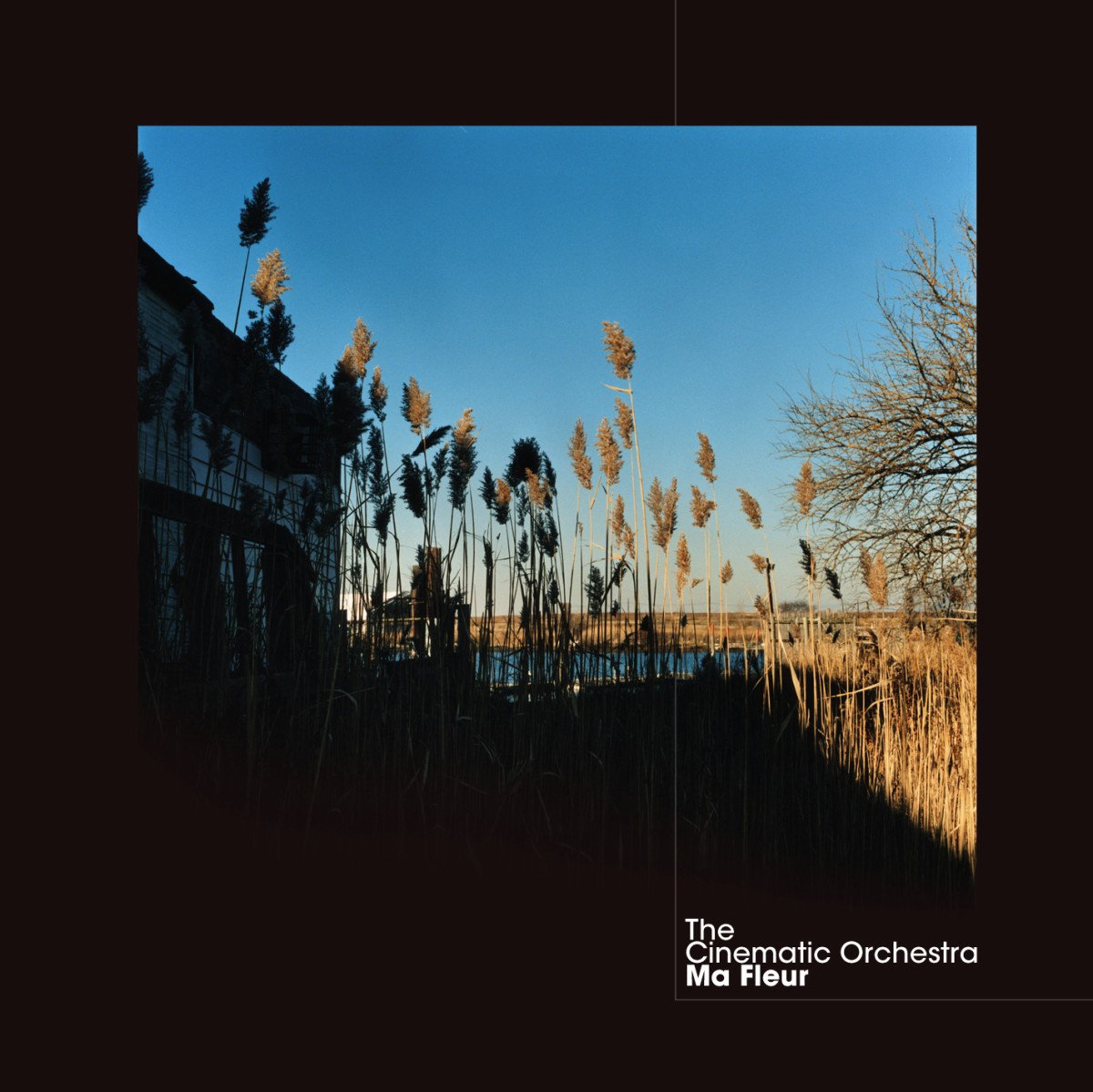 The Cinematic Orchestra-Ma Fleur-(ZEN122HC)-REISSUE LIMITED EDITION-2LP-FLAC-2021-BEATOCUL Download