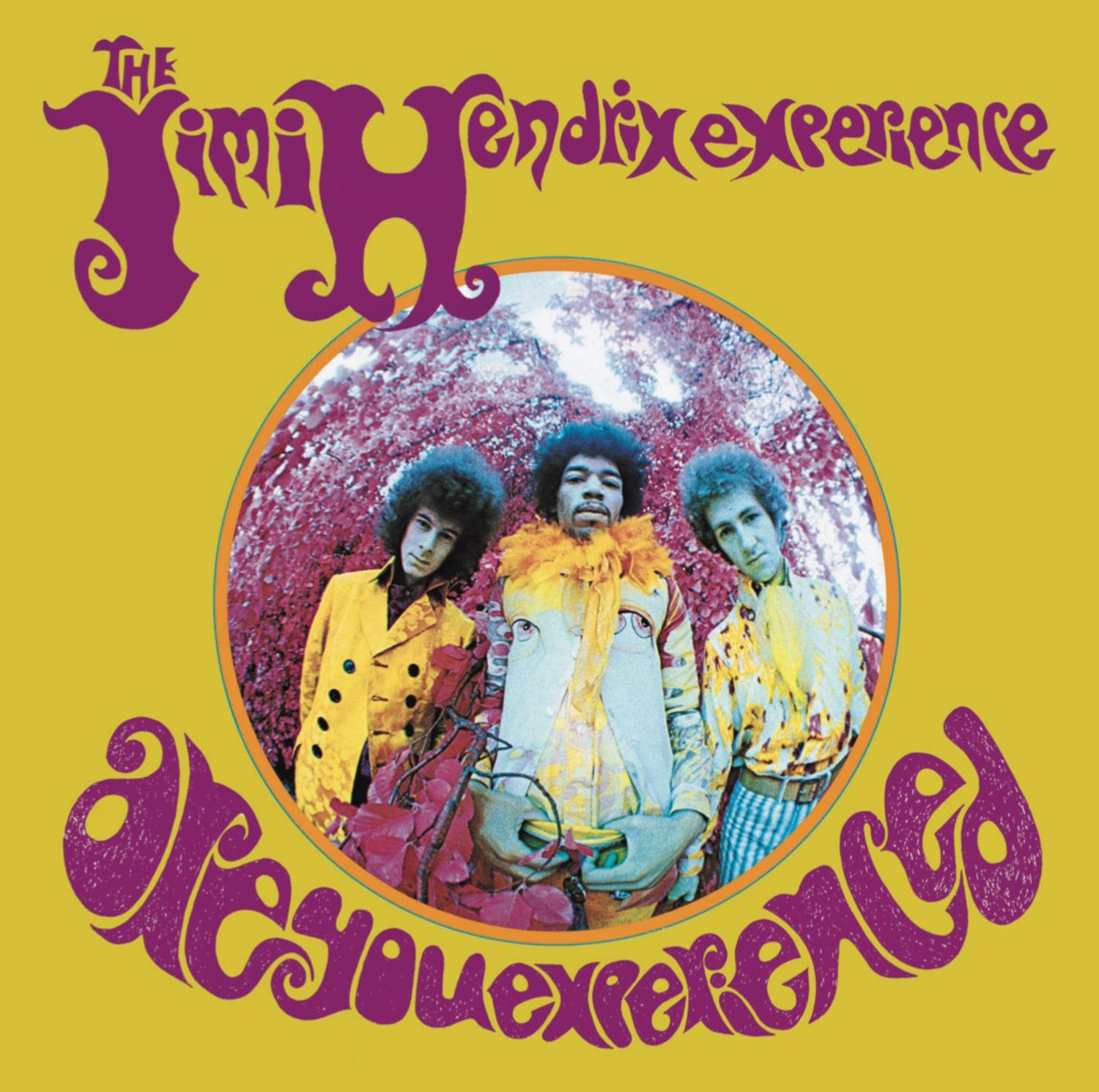 The Jimi Hendrix Experience-Are You Experienced-Remastered-CD-FLAC-1993-DeVOiD Download