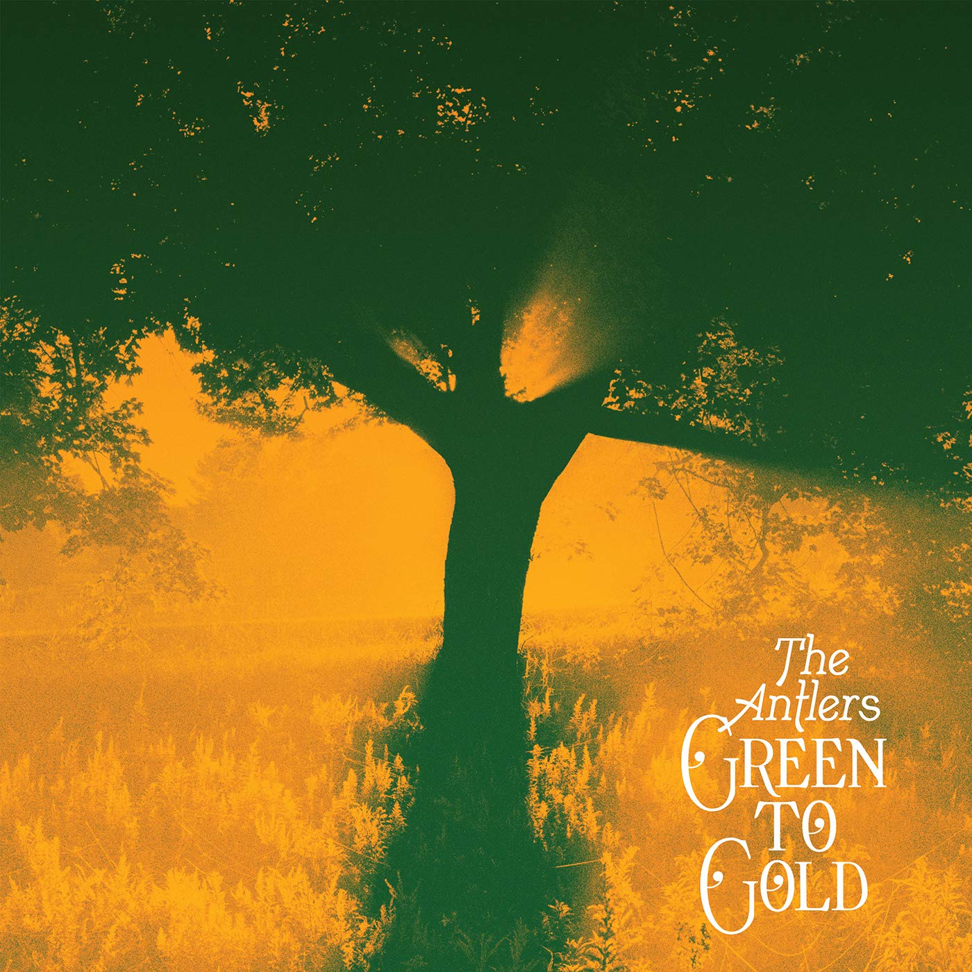 The Antlers-Green To Gold-CD-FLAC-2021-401 Download