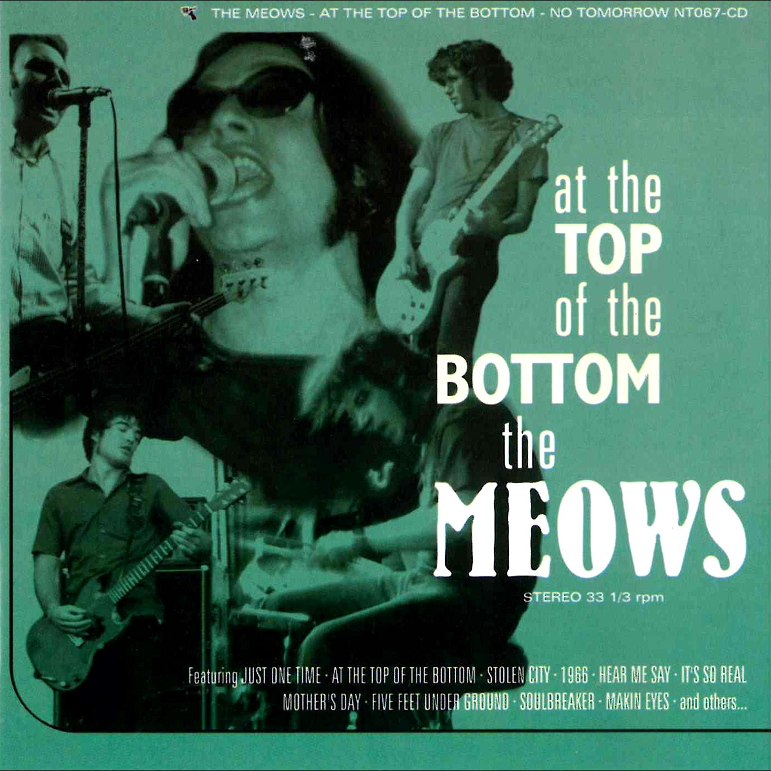 The Meows-At The Top Of The Bottom-CD-FLAC-2005-MAHOU Download