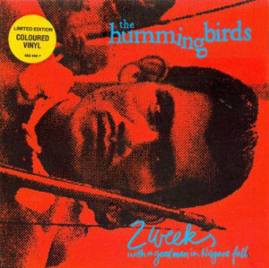 The Hummingbirds-2 Weeks With A Good Man In Niagara Falls-(868496-2)-CDEP-FLAC-1991-WRE Download