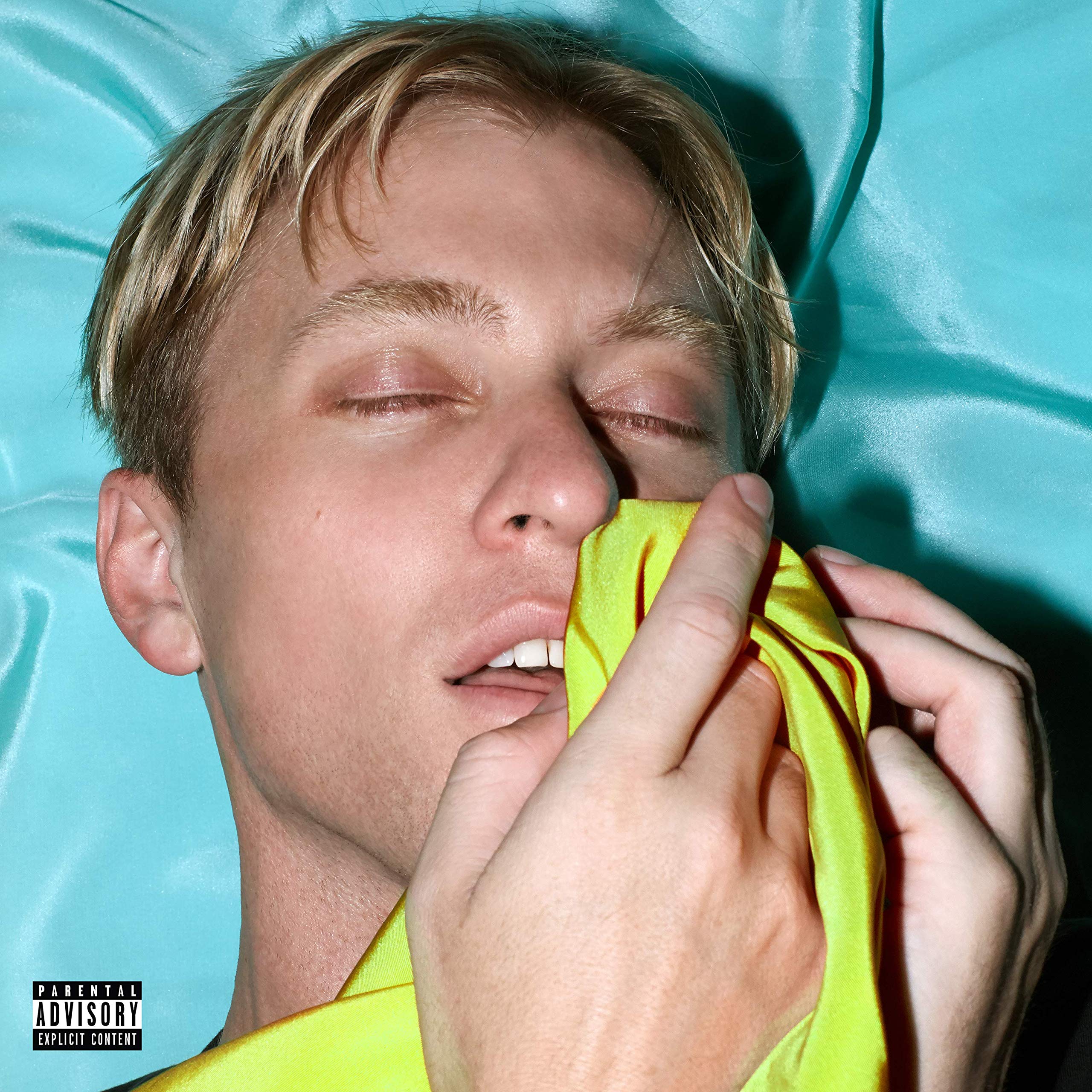 The Drums-Brutalism-CD-FLAC-2019-FATHEAD Download