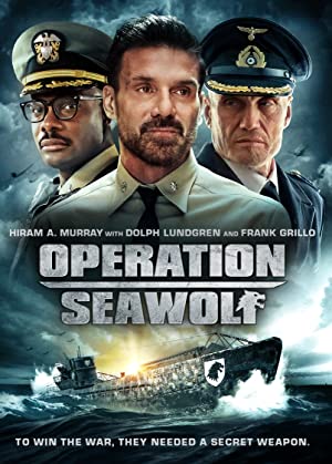 Operation Seawolf 2022 1080p WEB-DL DD5 1 H 264-EVO Download