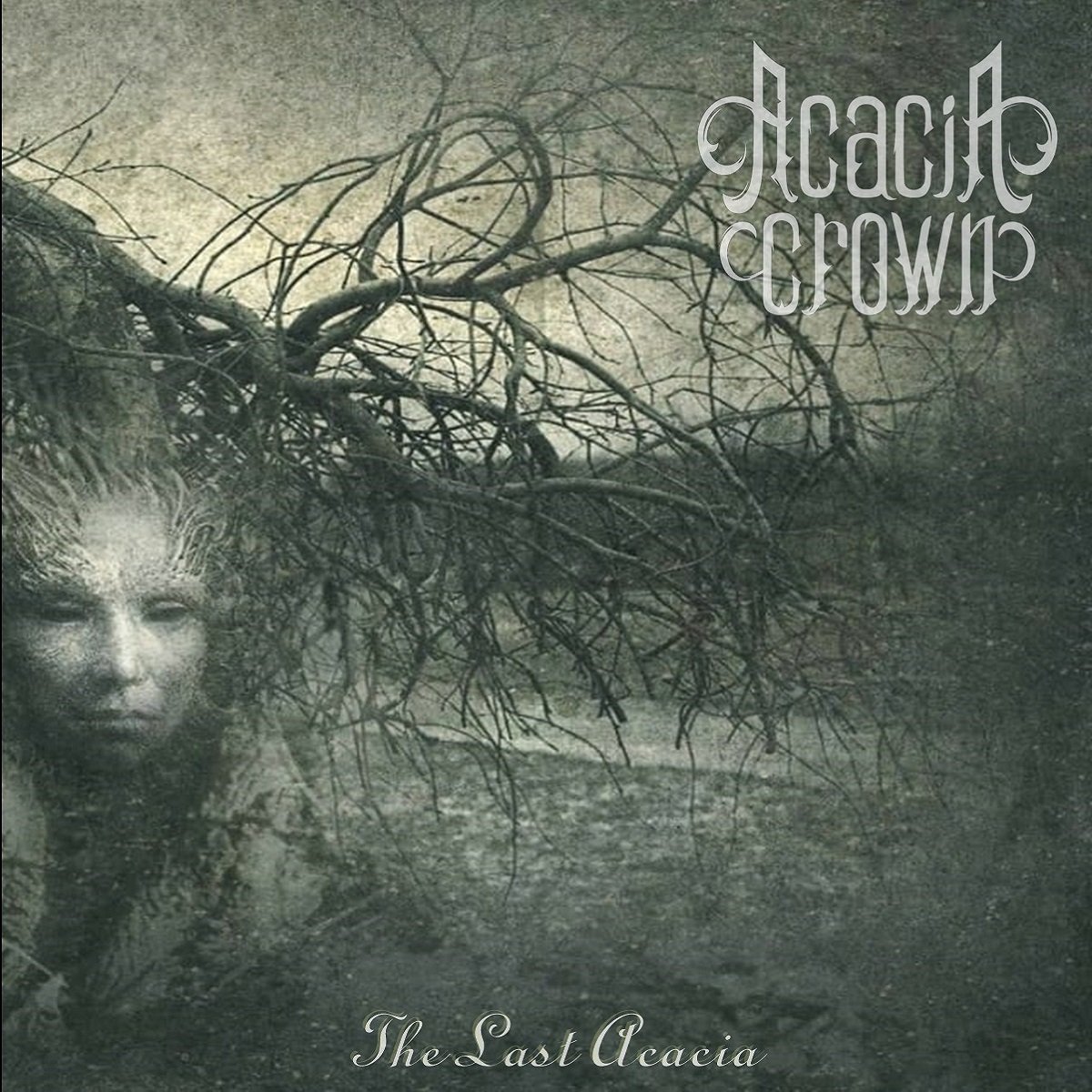 Acacia Crown - The Last Acacia (2022) FLAC Download