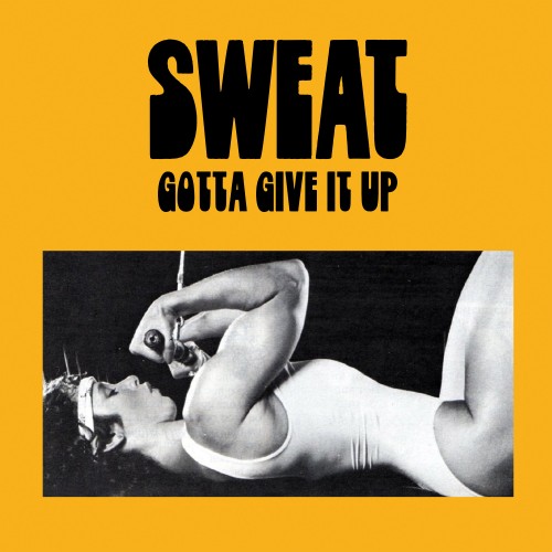 Sweat-Gotta Give It Up-16BIT-WEB-FLAC-2022-VEXED
