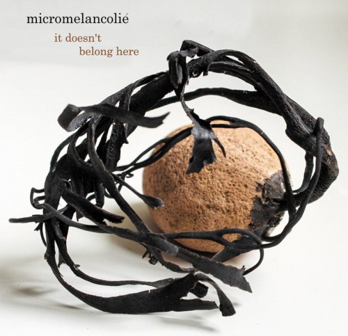 Micromelancolie-It Doesnt Belong Here-Limited Edition-CD-FLAC-2014-AMOK