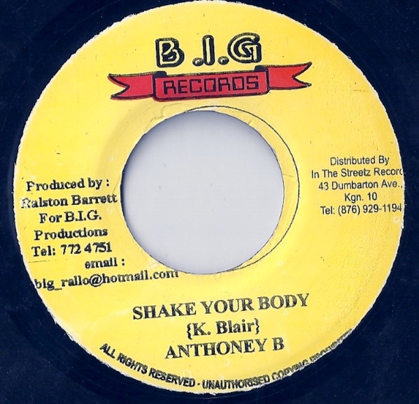 Anthoney B - Shake Your Body (200X) Vinyl FLAC Download