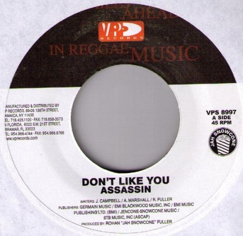 Assassin – Don’t Like You (200X) Vinyl FLAC